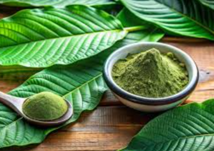 Kratom Extracts vs. Powder: Key Differences, Potency & Which One Is Right for You