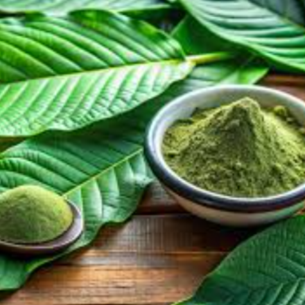 Kratom Extracts vs. Powder: Key Differences, Potency & Which One Is Right for You