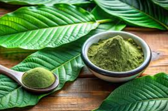 Kratom Extracts vs. Powder: Key Differences, Potency & Which One Is Right for You